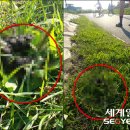 소용공원 이미지