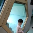 국립 남해편백자연휴양림 티스토리