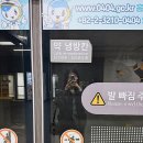 고봉민김밥인강릉역점