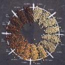 바리스타에게 배우는 커피 이미지