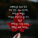 샛별여행