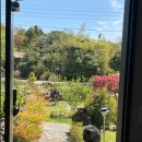 선흘곶 사계 이미지