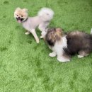 씻을개 네이버블로그