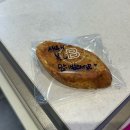 승채 | 컴백은 늘 갑자기