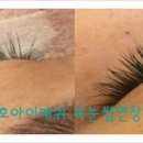 이미호아이래쉬 이미지