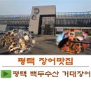 거대장어 | 평택 맛집 백두수산 거대장어 평택점 점심, 저녁 후기