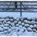 무지랭이 약수터 이미지