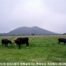 금수목장 네이버블로그