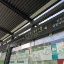 신월동167 이미지