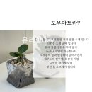 세라믹아트 | [대구 출강 발포 세라믹 도우 아트 후기] 나만의 돌멩이 이끼 정원 만들기 🌿 겨울 단체 힐링 클래스 인기