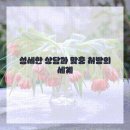 팔팔한의원 이미지