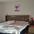 LK.소프트 | 베스트슬립 Z8B 저상형 LK 라지킹 매트리스 내돈내산 구매 후기