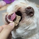 마시찌멍 이미지