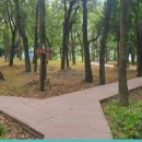 위고고남해 이미지