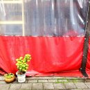 라인댄스 초급A 이미지