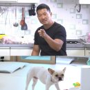 개와늑대의시간 bnt뉴스