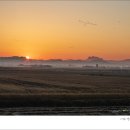 동트는 아침 이미지