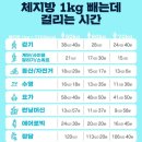 체지방 1kg 빼는데 걸리는 시간 이미지