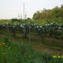 진원동초등학교 이미지