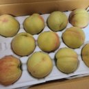 김종달농장 이미지