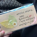 성보캘리그라피