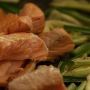 포레스트2 이미지