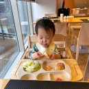 2385 | 16개월 아기랑 롤링힐스 호텔 방문후기(조식/더키친/키즈룸/수영장)