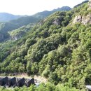 거창 항노화 힐링랜드 이미지