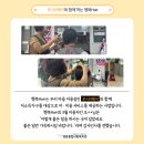 루시N헤어 네이버블로그