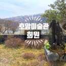 🌸 호암미술관 벚꽃 실시간 | 오늘 다녀온 봄 나들이 후기