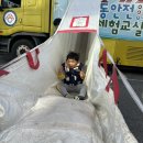💚119 소방 안전체험💚 이미지
