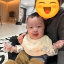 빅파인트리하우스 이미지