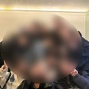 아꼬아 | [제주/협재] 너무 재밌어서 연박해버린 아꼬아 게스트하우스 후기
