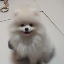 에이뷰티스튜디오 이미지