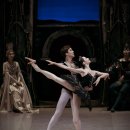 국립발레단 ’백조의 호수’ 이미지