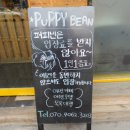 퍼피빈 이미지