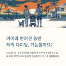 동물병원루니 | 보홀 베이비시터 아이와 함께 해외 다이빙 가능할까?