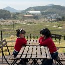 양지천 | 순창/카페 전주 근교 튤립 카페 자연다울수록