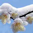 전통민요 이미지