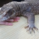 (주) 정글스토리 이미지