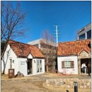 거북이마을 | 천안 빵지순례 필수코스, 뚜쥬루 빵돌가마마을 후기｜거북이빵부터 빵마을카페 피자까지