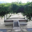 토지초등학교 이미지