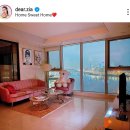 프리지아 이미지