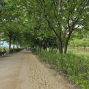 당정근린공원 이미지