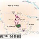 자작나무힐 Daum카페