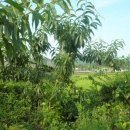 주형농장 이미지