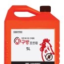비엔피