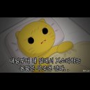 시에라오리지널