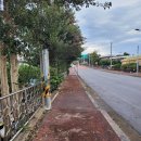 위미대원하로 이미지