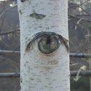 문학고을 Daum카페